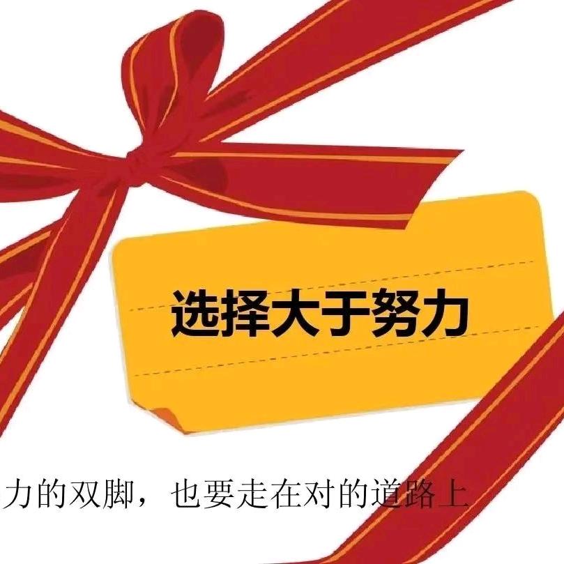 河南（升学规划）王老师