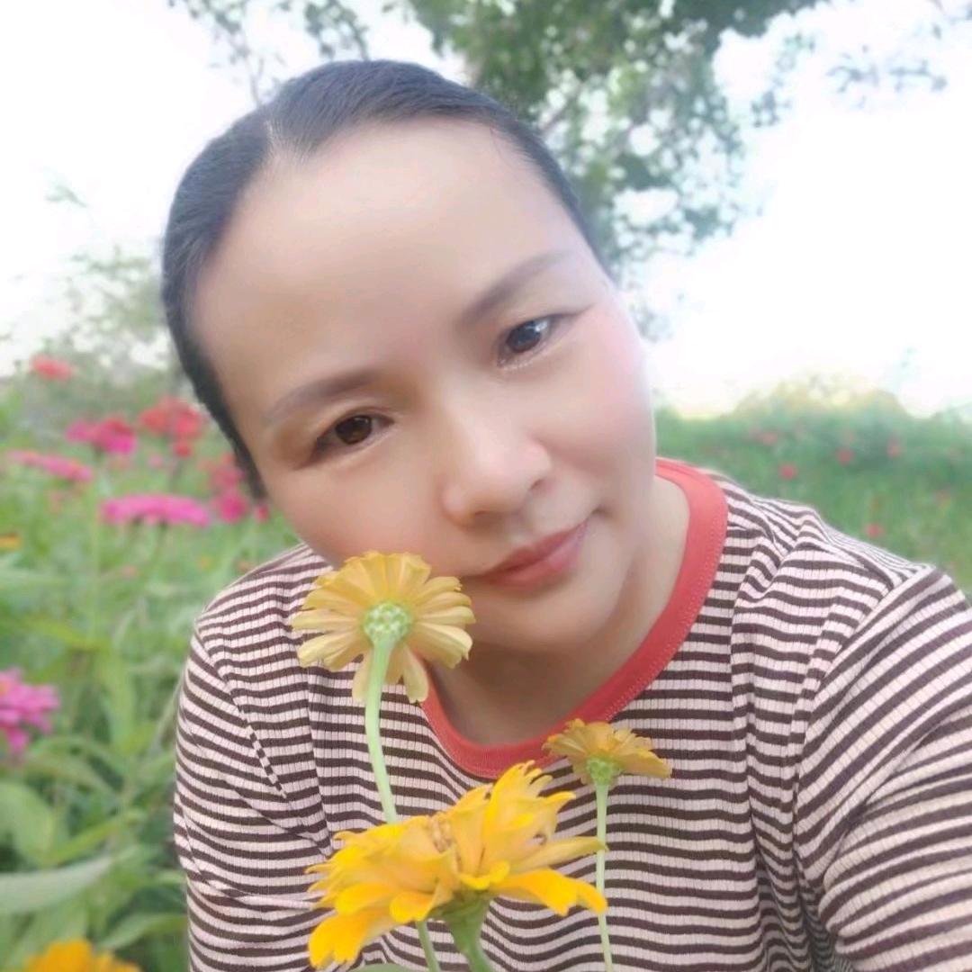 杨杨好物