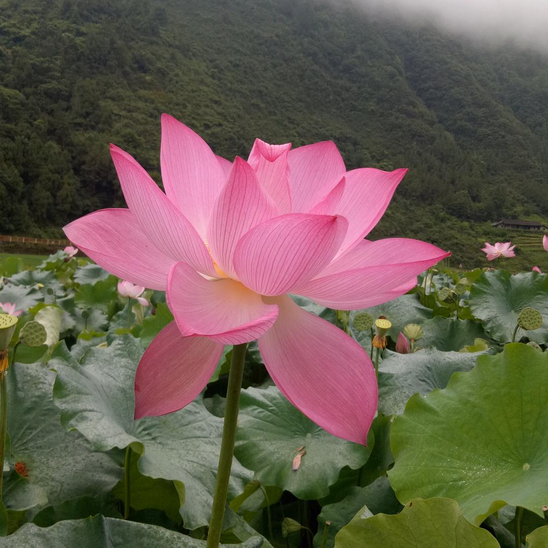 将爱情进行到底