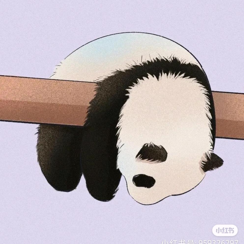 熊猫不想修仙🐼