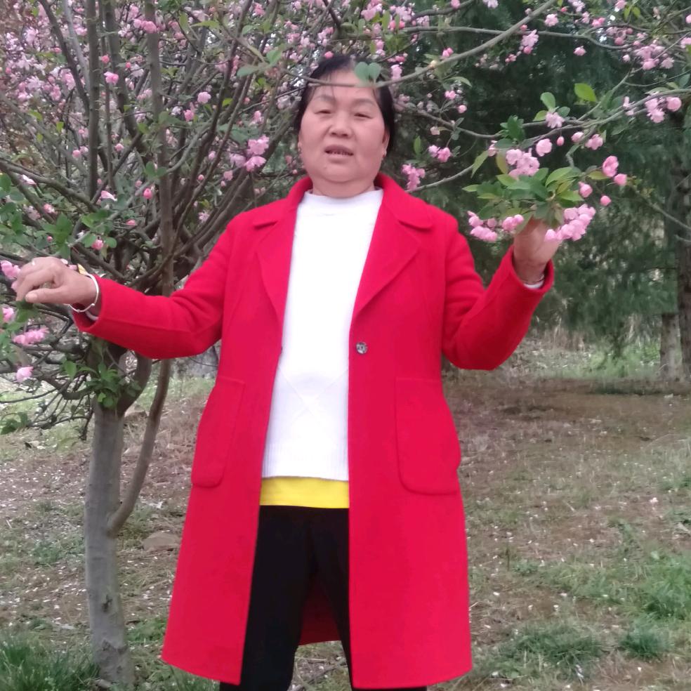 阖家欢乐