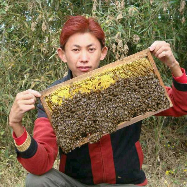 孙氏蜜蜂园