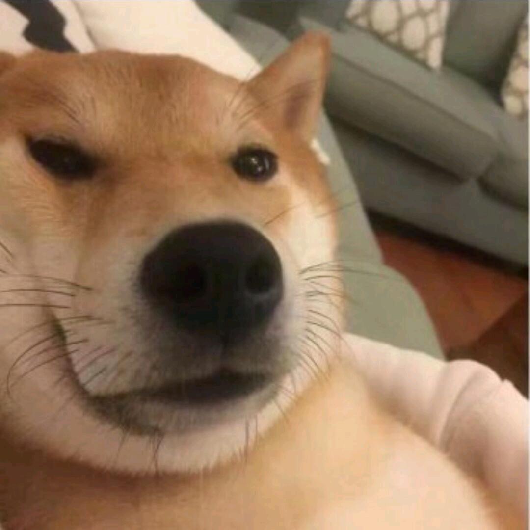 秋裤能防风