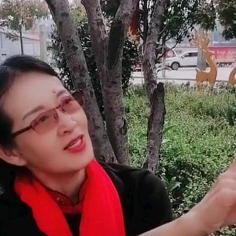 河南大姐在新疆