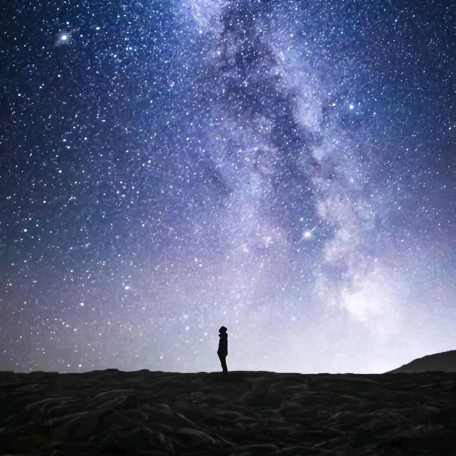 极星