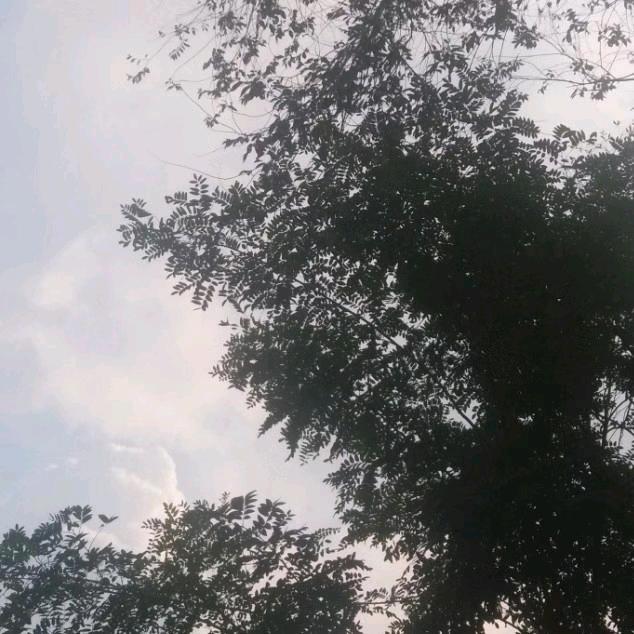 正在输入