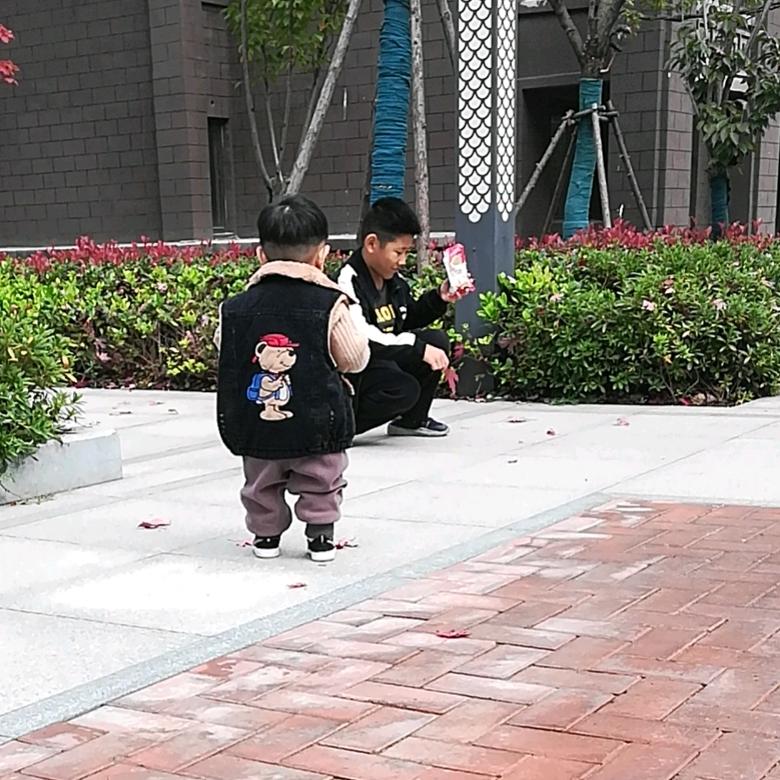 白茶清欢