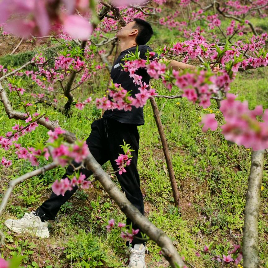 启程
