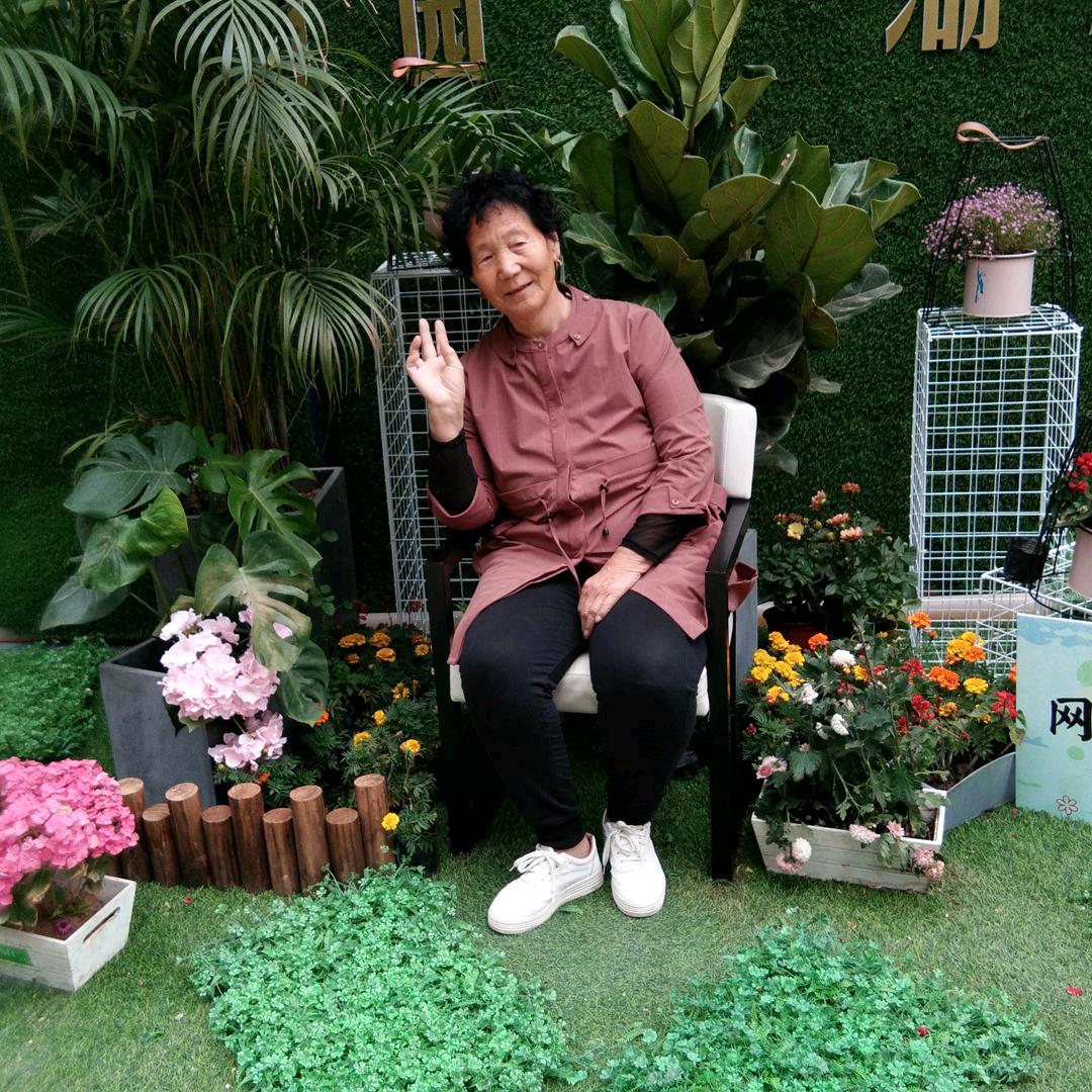 河东六婶小号