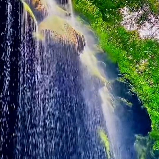 老王精选个体店