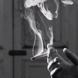 走在冷风中    ♛