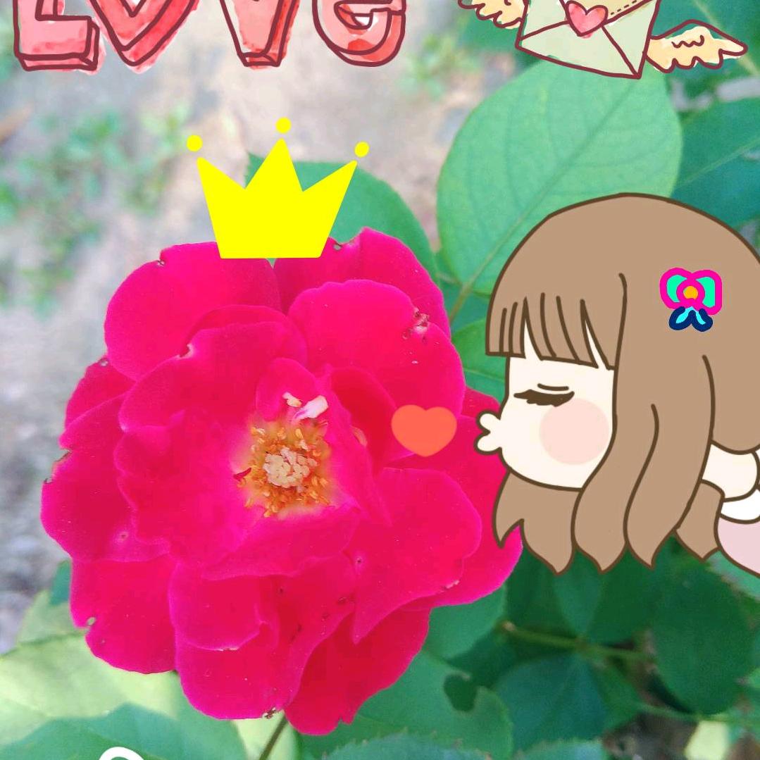 进