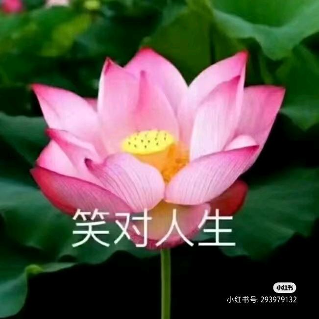 笑口广结善缘（小号）