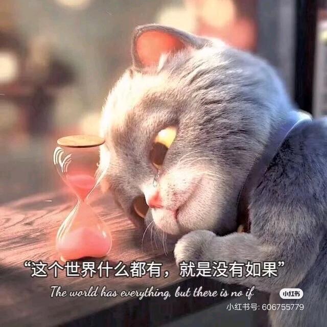 甜甜哒，美美哒🌻🌹🌹🌹