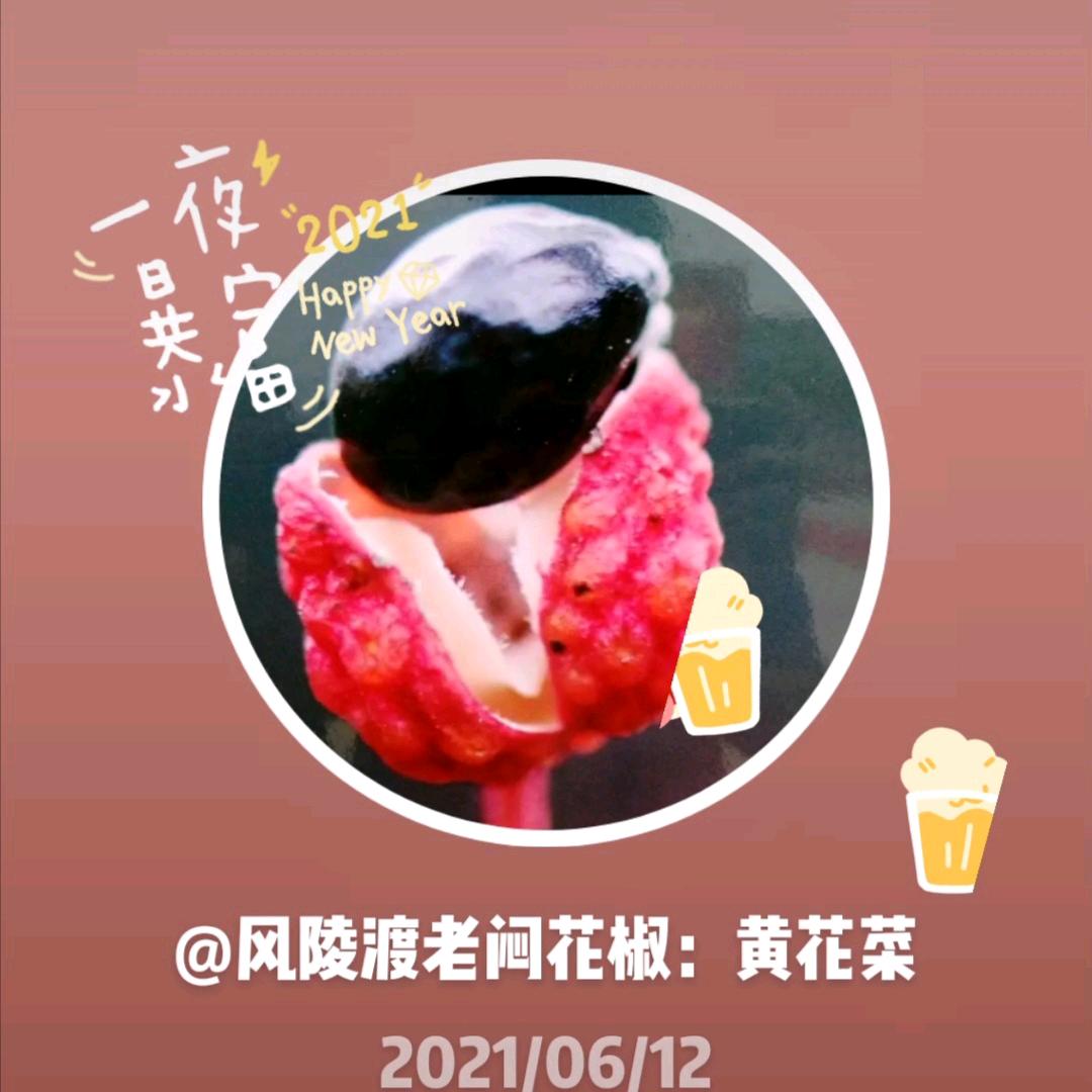 风陵渡老闷花椒购销