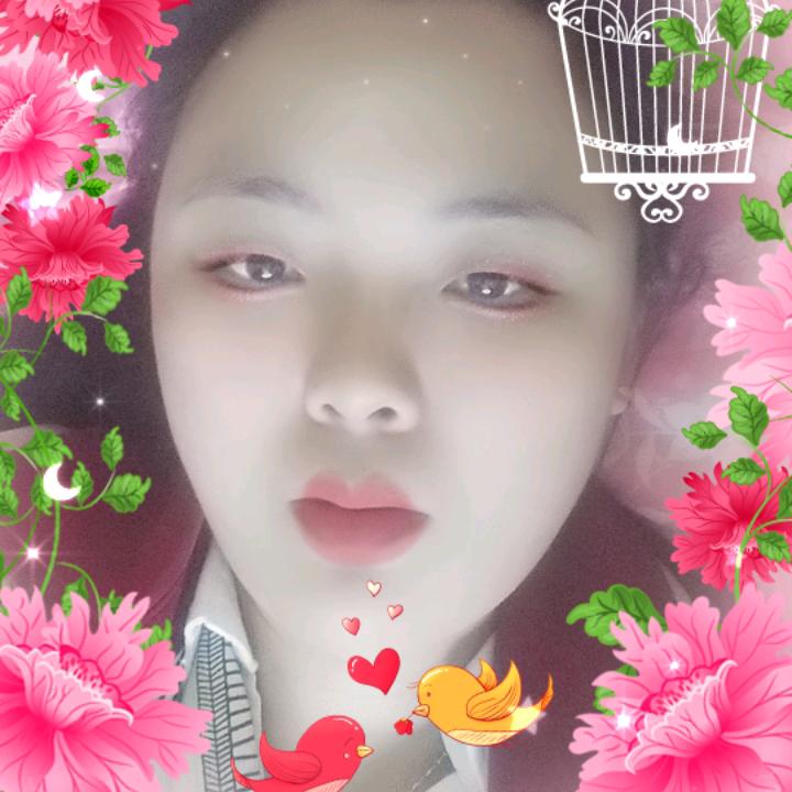 杨才尾