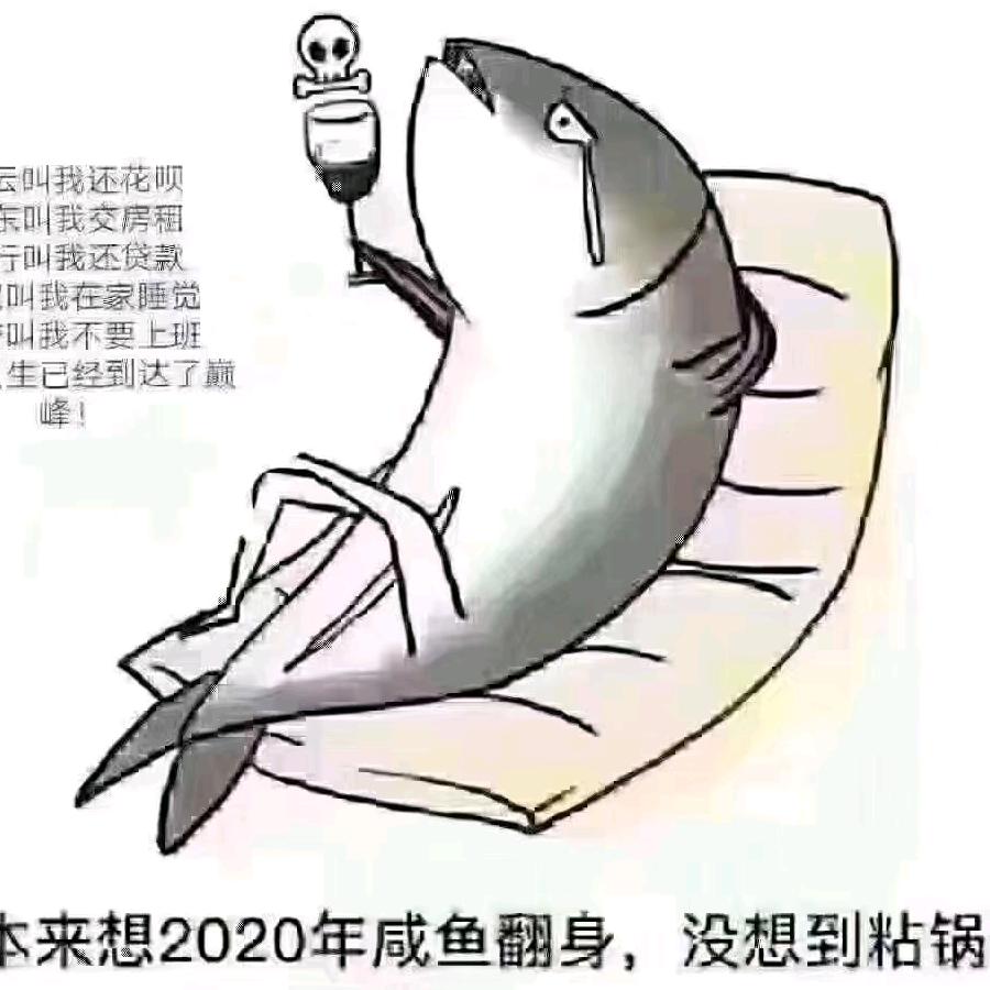 配送钓场各类淡水鱼，包回收，放生鱼