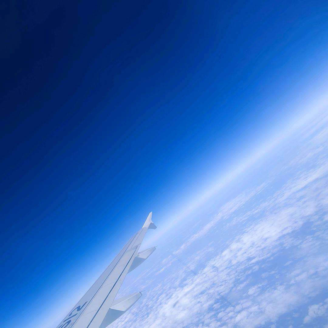 林九皋