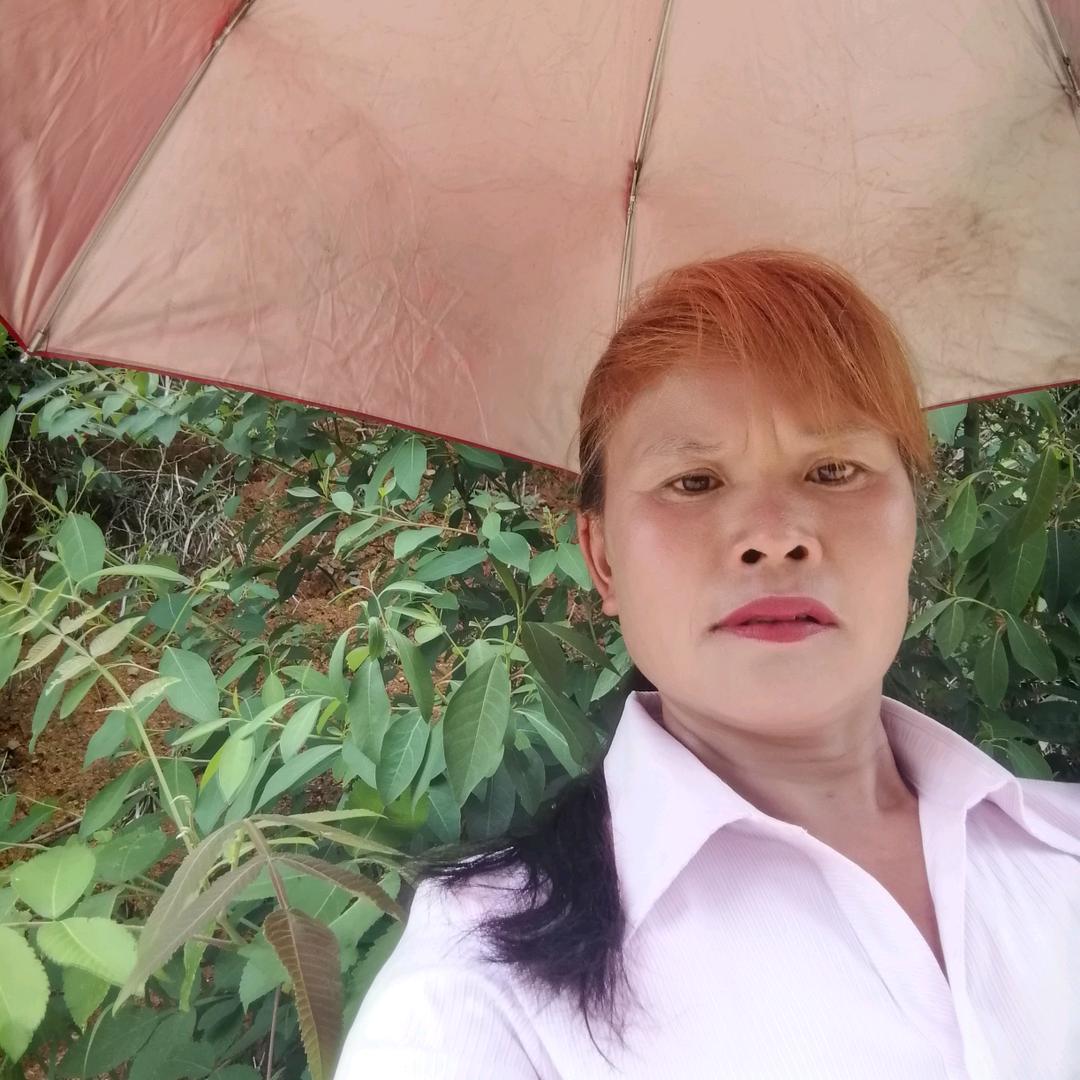 春天花开