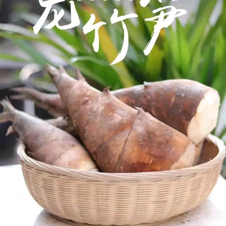 我是云南甜龙笋