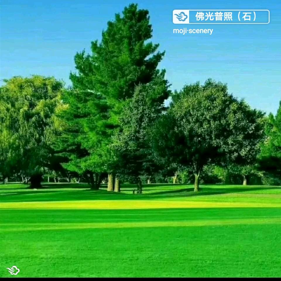 雨天