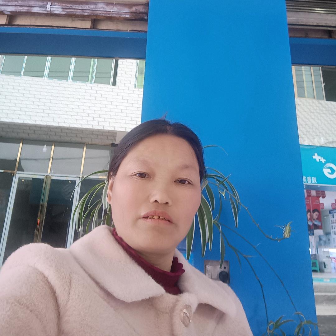 向光仙