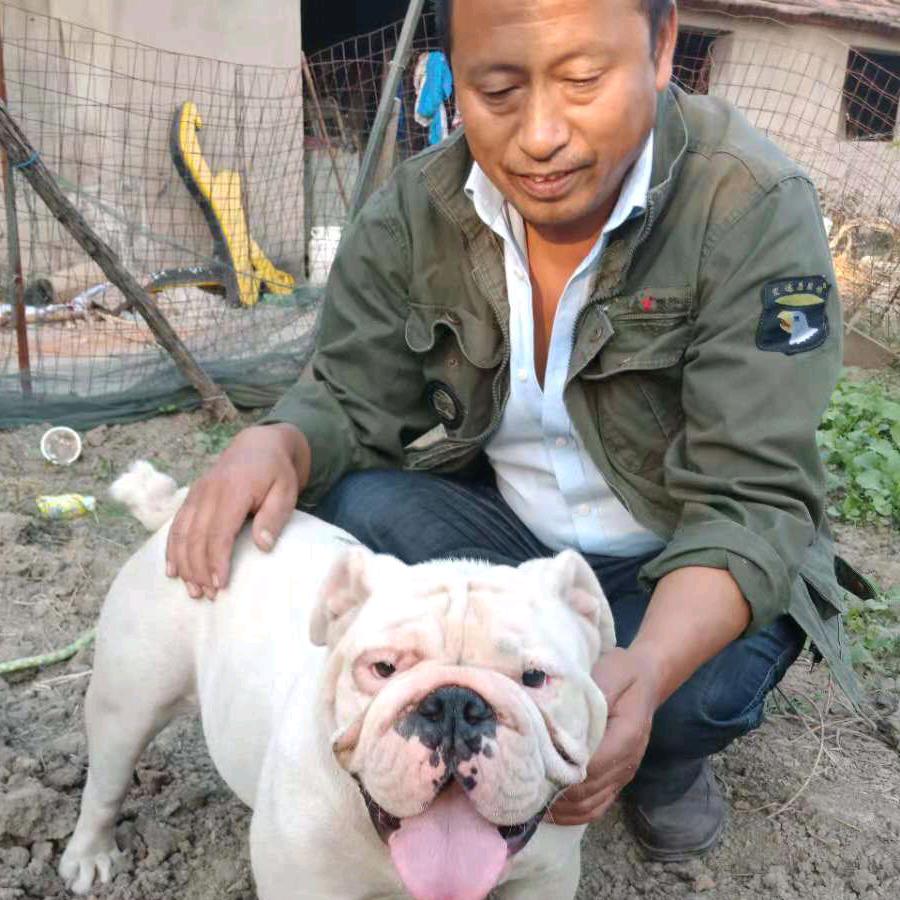 老李
