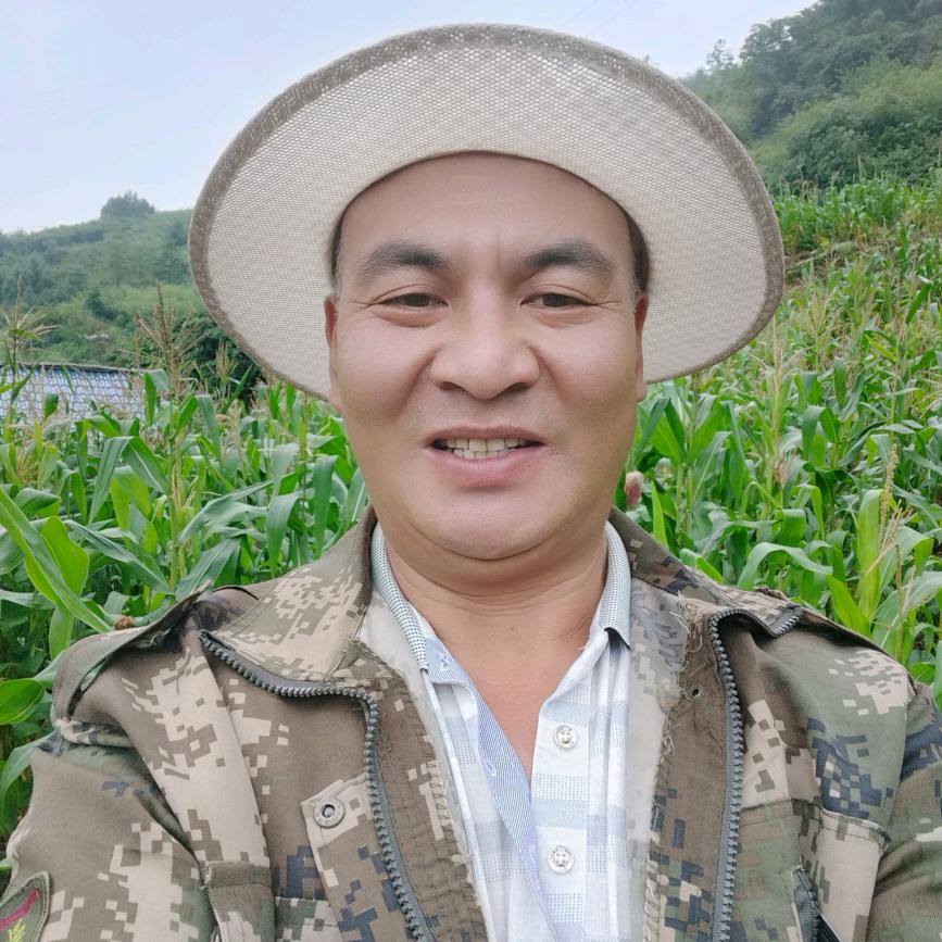 金哥哥