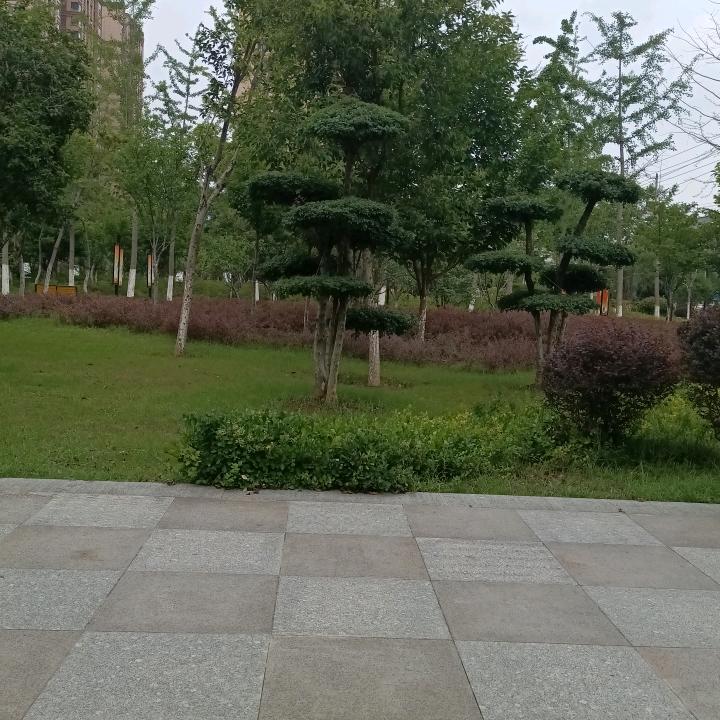 用户4573482617336