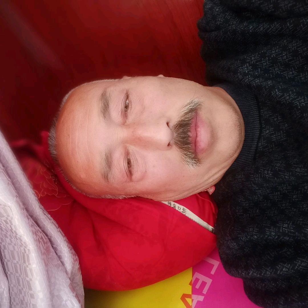 梅，兰，竹，菊。