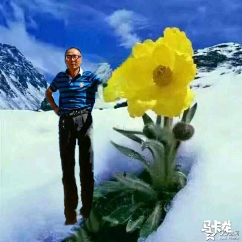 羊管