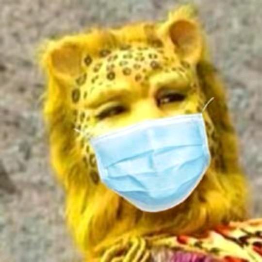 泰州回收门窗，栏杆代拆   报废物资