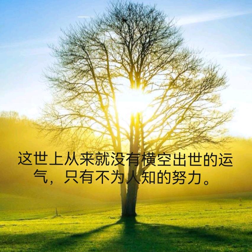 无缝内衣裤自动整烫定型机