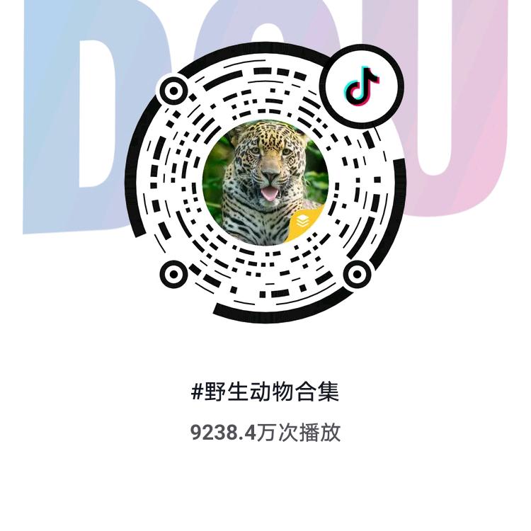 肖家人