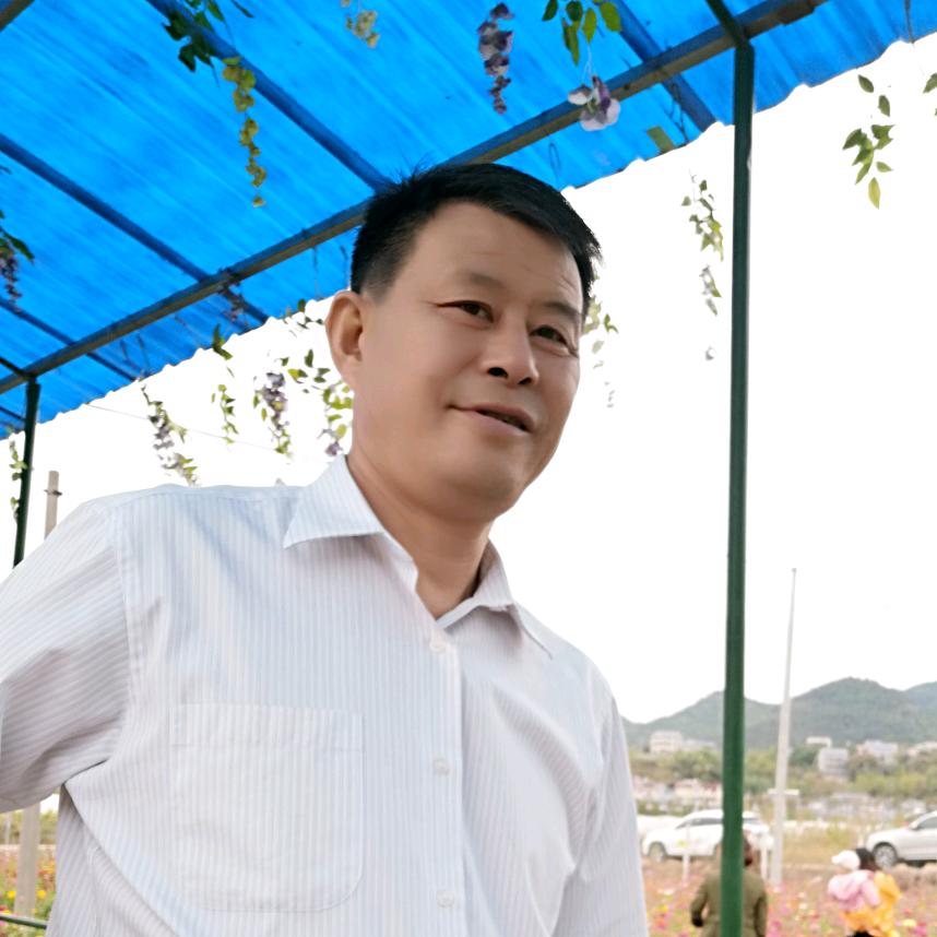 勿忘我刘老歌