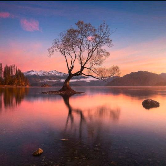 ᰔᩚ᭄心想💞ℛ事陈꧔ꦿᩚ࿐🕊