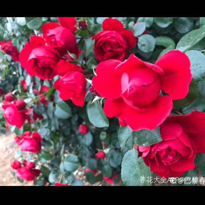 好好的²¹⁹⁹🔥