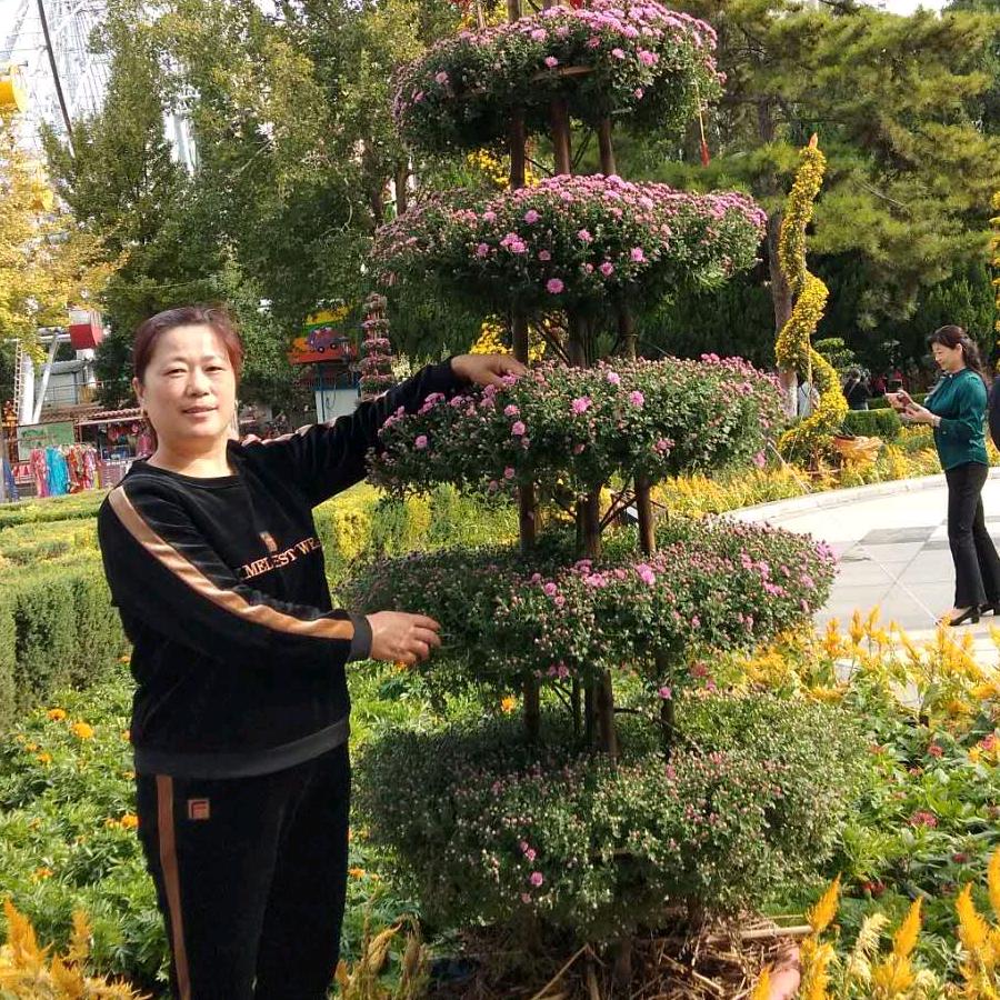 张姊妹橱窗有好物。