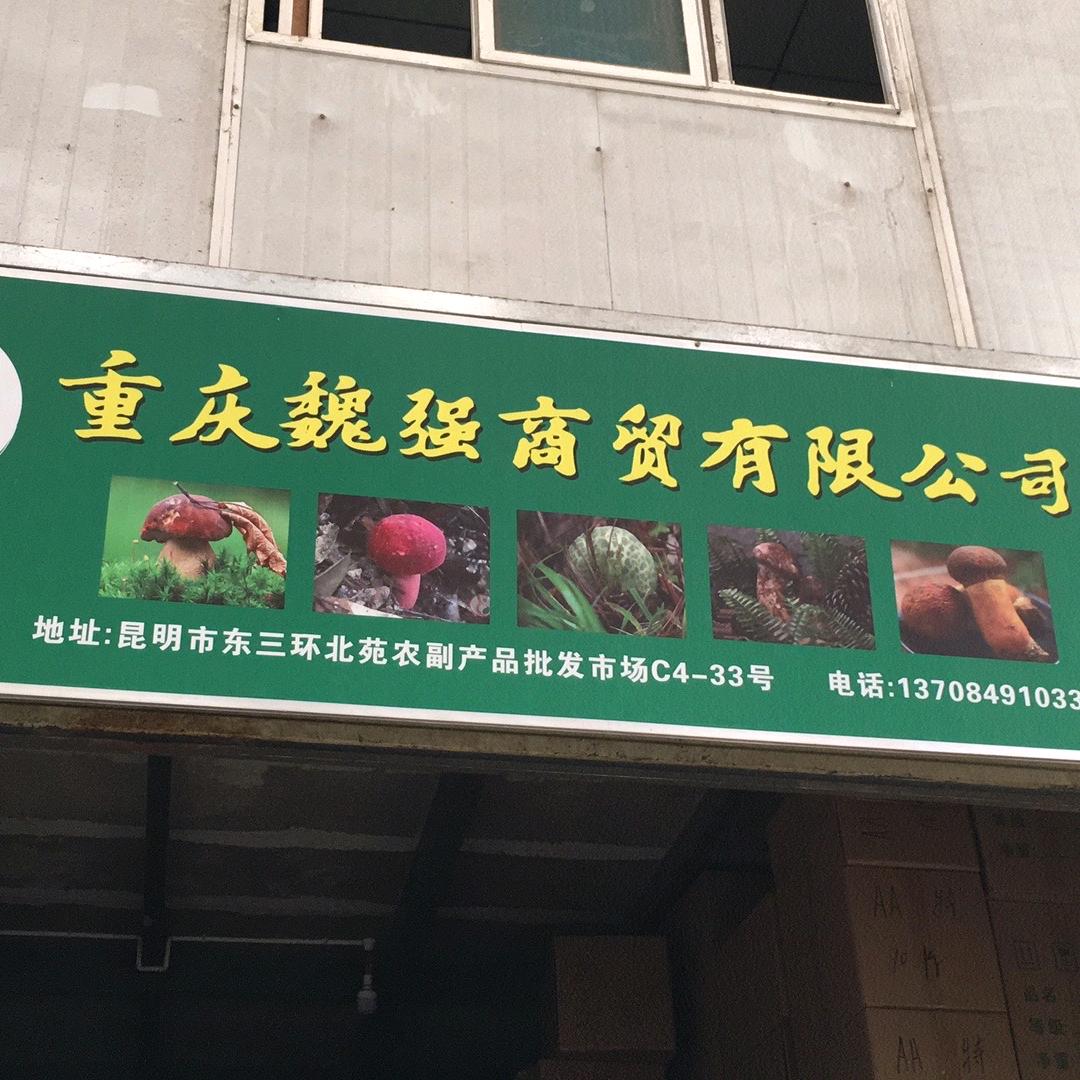 何江食用菌