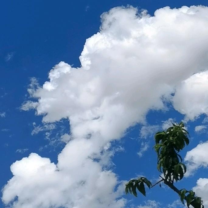 爱吃糯米圆子的拖延症