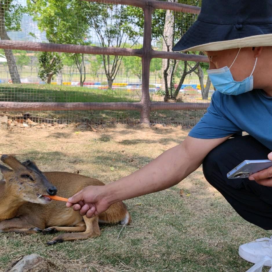 乐   逍   遥  ²⁰²⁵