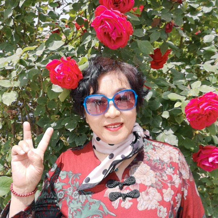莲