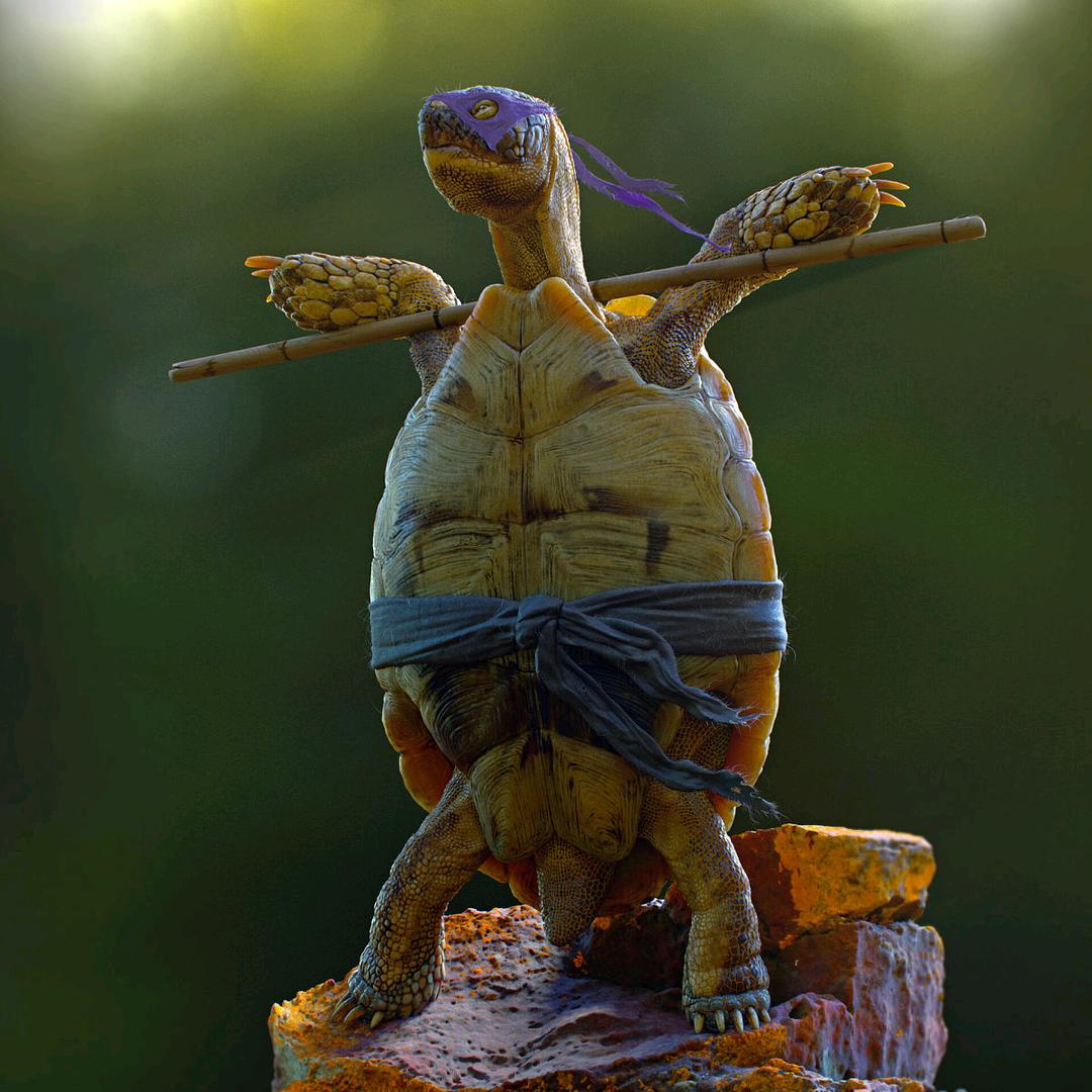 忍者神龟养殖户