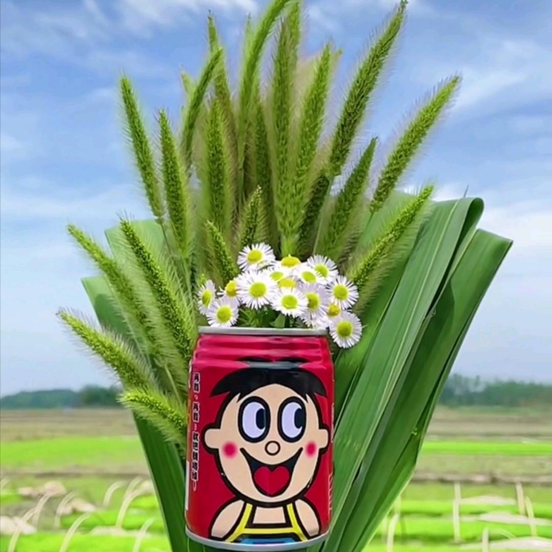 点点ლ(❛  ̮ ❛✿)ლ