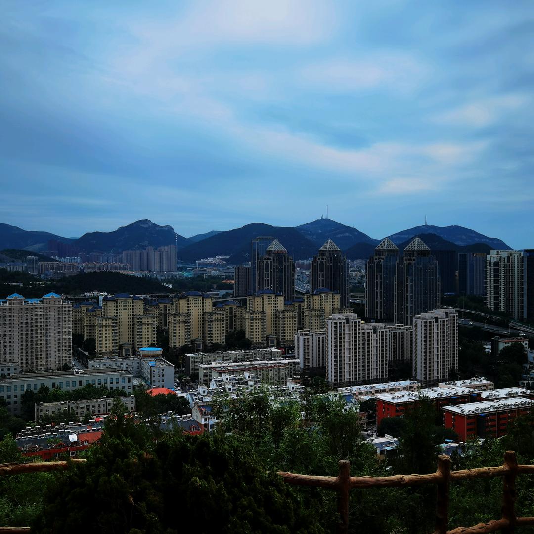 陆地上的鱼