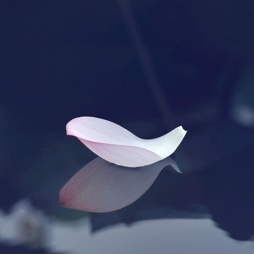 西子