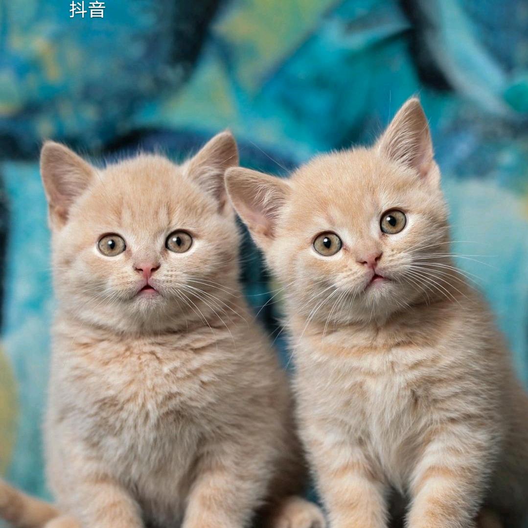 三 石