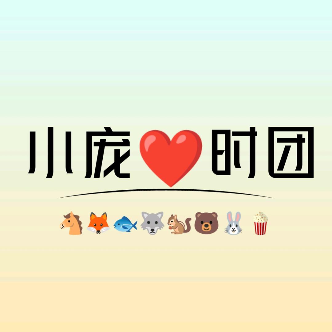 小庞❤️时团（见过时团版）
