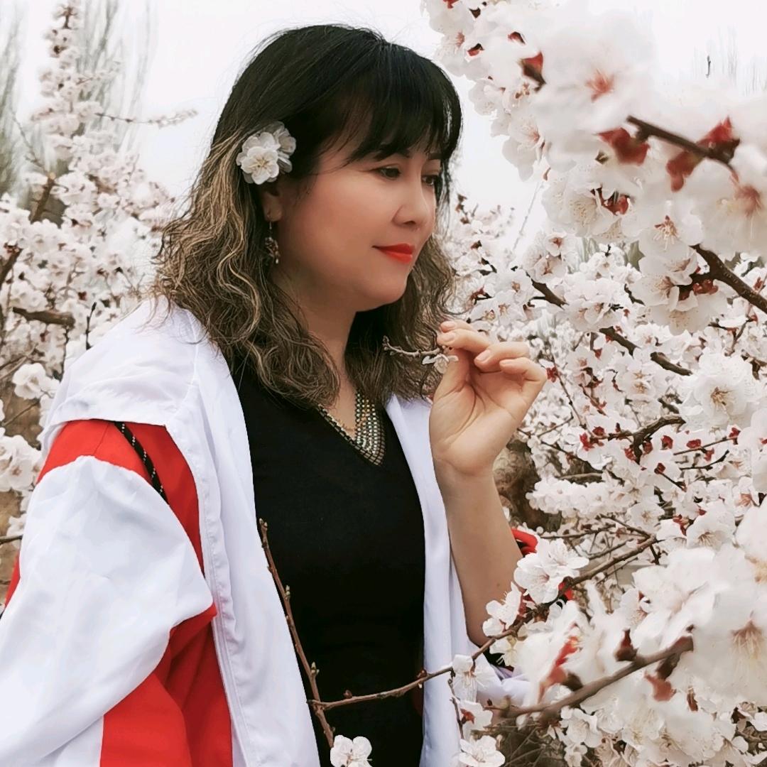 🌹🌷暖风🌹🌷