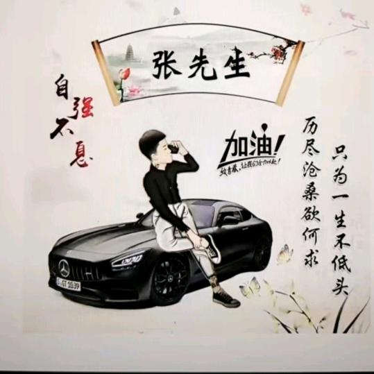 🇨🇳Mr.Zhang